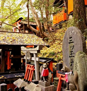 Fushimi Inari, Neko Café and Japanese grandmas